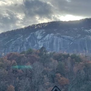 Meet your Posher, Force